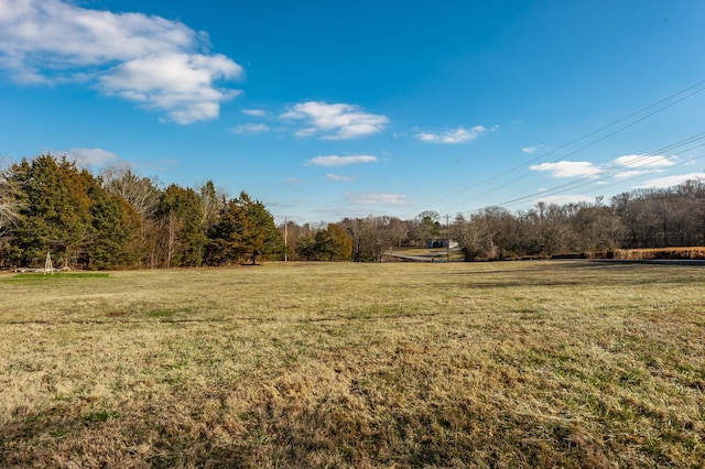 8870 Rocky Fork Rd, Smyrna, TN 37167 - photo 9