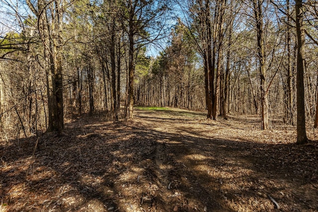 8870 Rocky Fork Rd, Smyrna, TN 37167 - photo 11