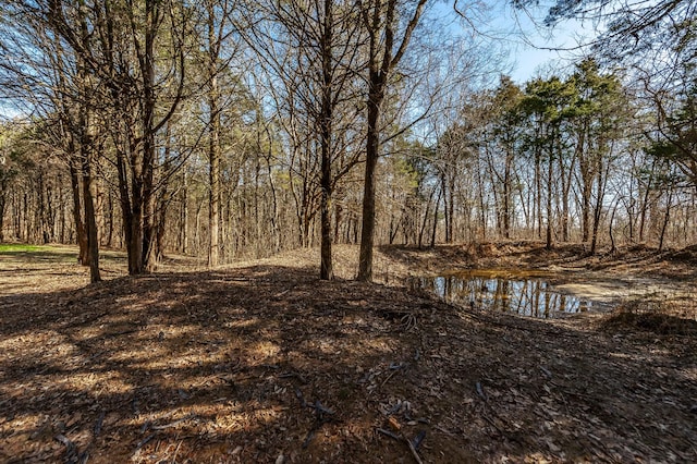 8870 Rocky Fork Rd, Smyrna, TN 37167 - photo 10