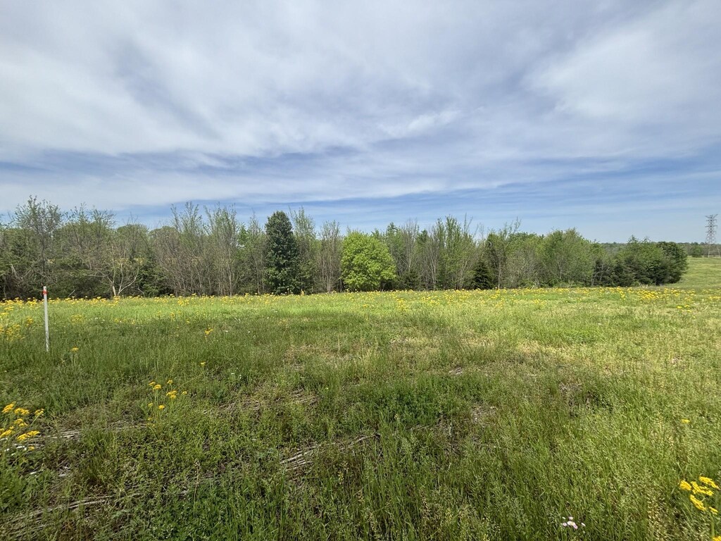 0 Oakmere Ln, Lafayette, TN 37083 - photo 2