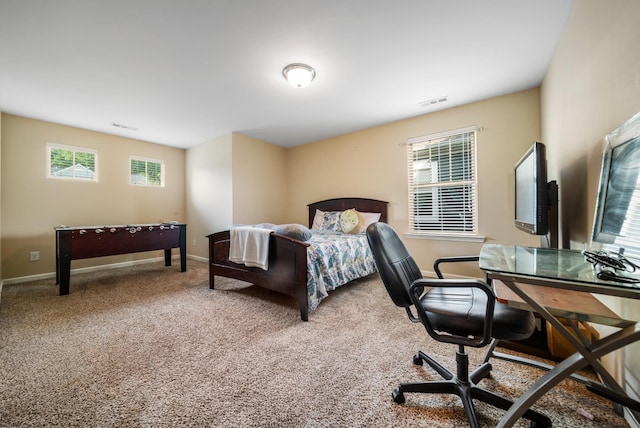6209 Del Sol Dr, Whites Creek, TN 37189 - photo 26