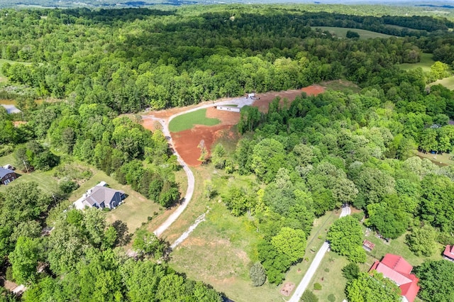1852 Soules Chapel Rd N, Cunningham, TN 37052 - photo 9