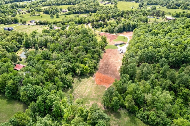 1852 Soules Chapel Rd N, Cunningham, TN 37052 - photo 16