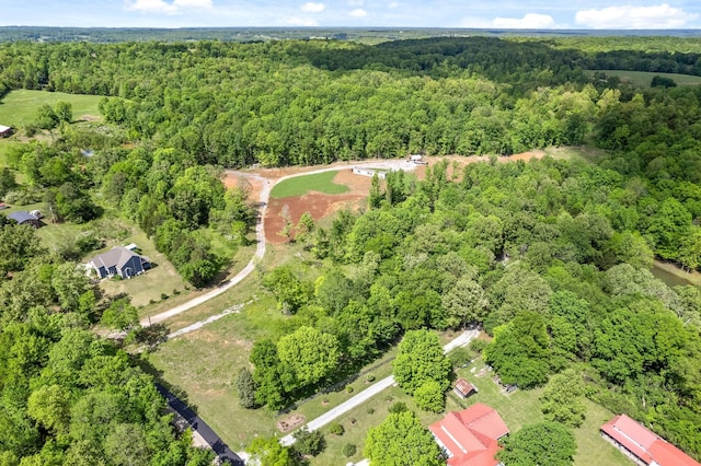 1852 Soules Chapel Rd N, Cunningham, TN 37052 - photo 11