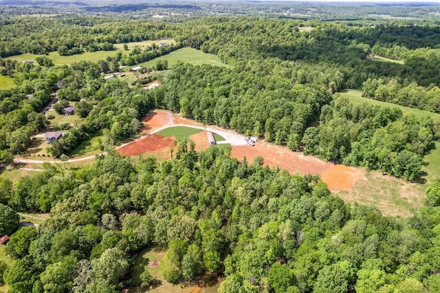1852 Soules Chapel Rd N, Cunningham, TN 37052 - photo 19
