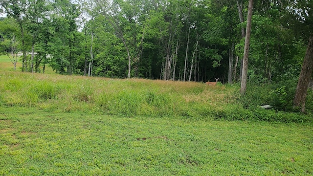1852 Soules Chapel Rd N, Cunningham, TN 37052 - photo 7