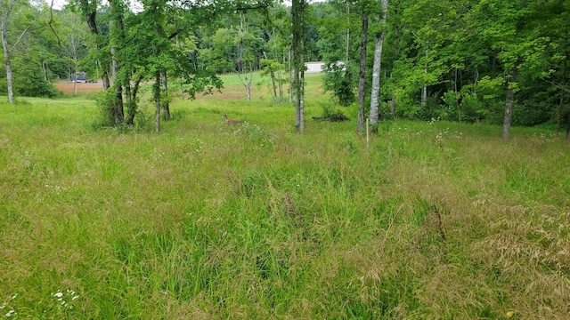1852 Soules Chapel Rd N, Cunningham, TN 37052 - photo 2