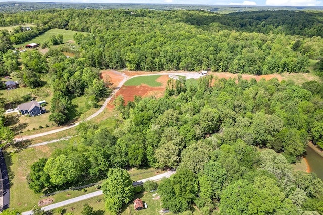 1852 Soules Chapel Rd N, Cunningham, TN 37052 - photo 18