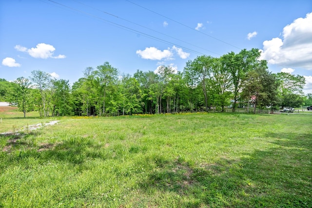 1852 Soules Chapel Rd N, Cunningham, TN 37052 - photo 3
