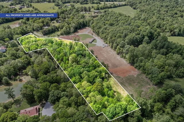 1852 Soules Chapel Rd N, Cunningham, TN 37052 - photo 4