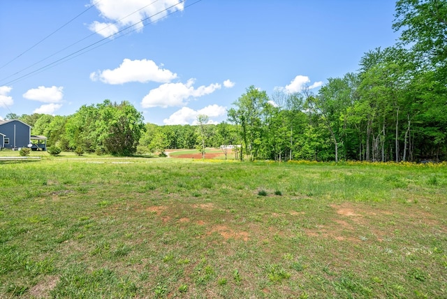 1852 Soules Chapel Rd N, Cunningham, TN 37052 - photo 6