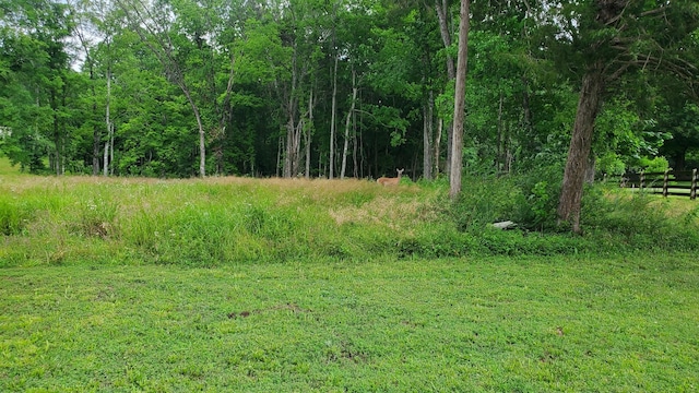 1852 Soules Chapel Rd N, Cunningham, TN 37052 - photo 1