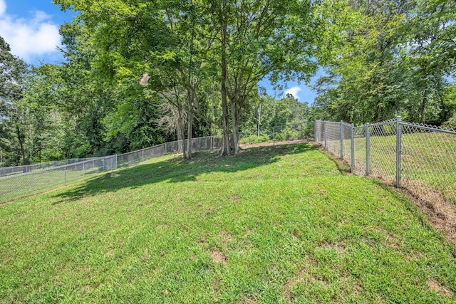 1116 Taylor Town Rd, White Bluff, TN 37187 - photo 29