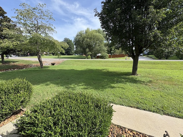 1059 Kaitlynn Cir, Pleasant View, TN 37146 - photo 4