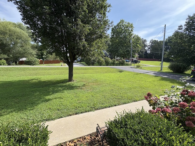 1059 Kaitlynn Cir, Pleasant View, TN 37146 - photo 3