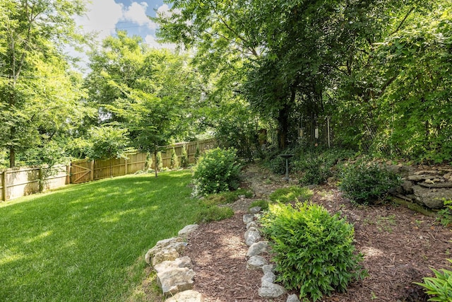 423 Patterson St, Nashville, TN 37211 - photo 44