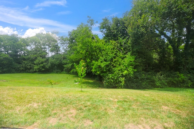 540 Triple Crown Cir, Gallatin, TN 37066 - photo 49