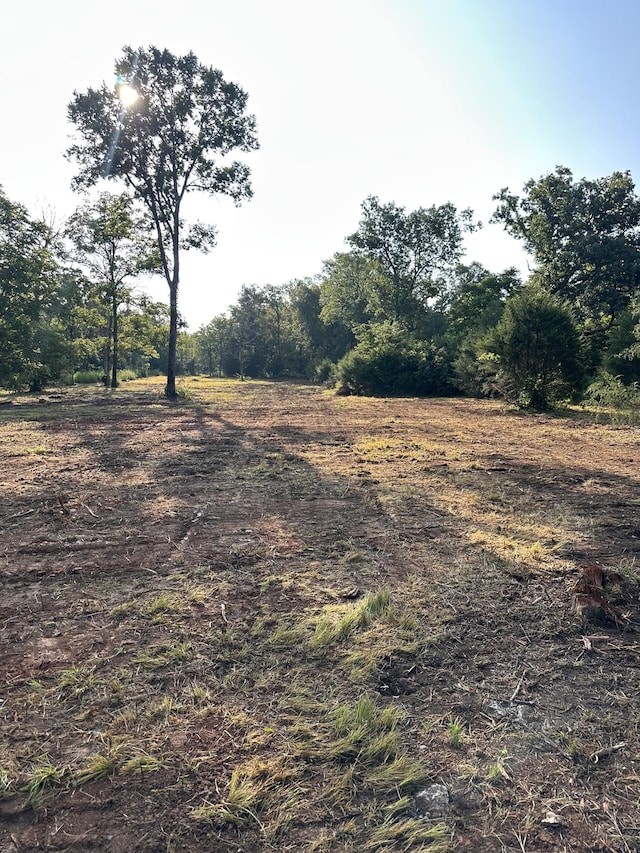 11497 Karo Rd, Bell Buckle, TN 37020 - photo 44