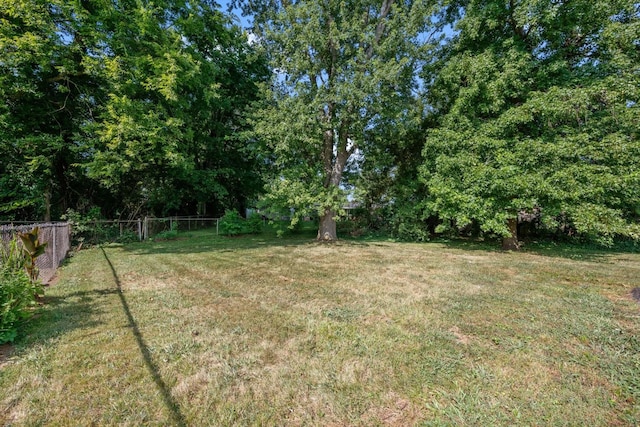 1510 Foxdale Dr, Murfreesboro, TN 37130 - photo 5