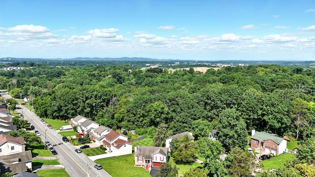 516 Franklin Limestone Rd, Nashville, TN 37217 - photo 21