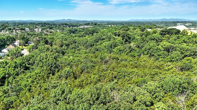 516 Franklin Limestone Rd, Nashville, TN 37217 - photo 17