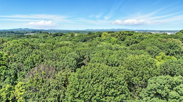 516 Franklin Limestone Rd, Nashville, TN 37217 - photo 5