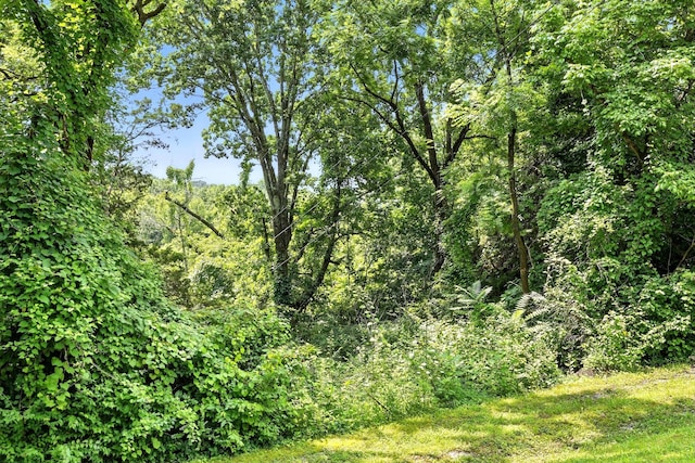 516 Franklin Limestone Rd, Nashville, TN 37217 - photo 8