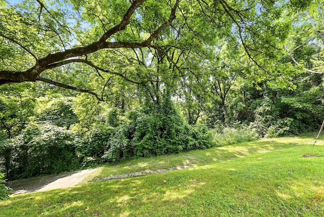 516 Franklin Limestone Rd, Nashville, TN 37217 - photo 19