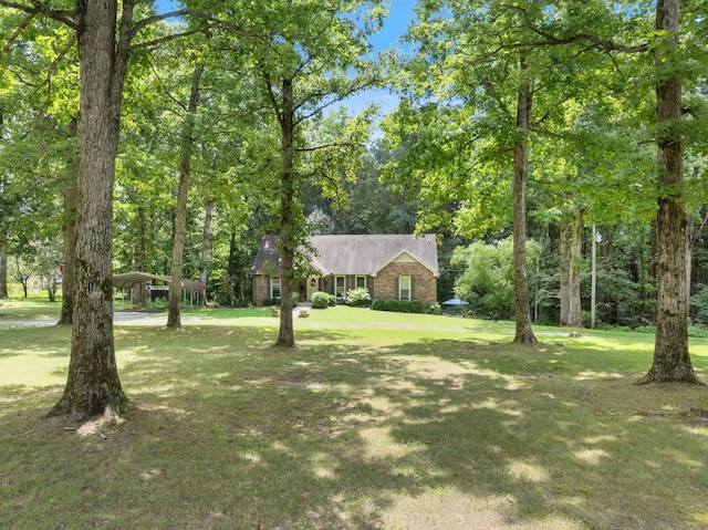 1441 White Bluff Rd, White Bluff, TN 37187 - photo 1