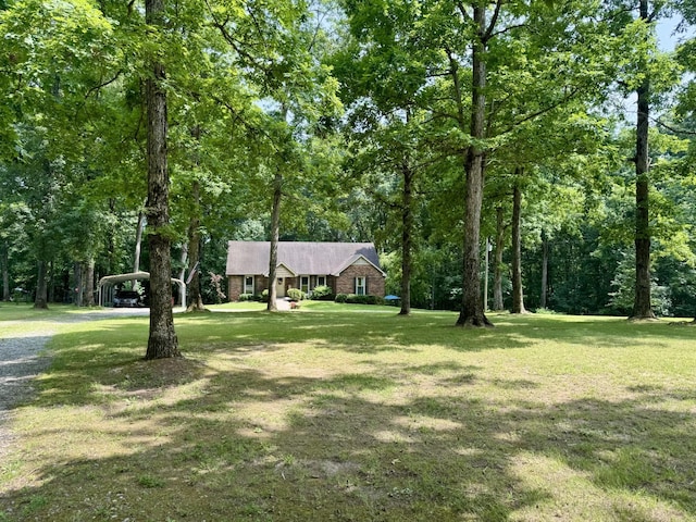 1441 White Bluff Rd, White Bluff, TN 37187 - photo 12
