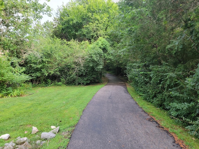 300 Cobblestone Lndg, Mount Juliet, TN 37122 - photo 48