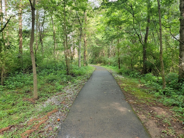 300 Cobblestone Lndg, Mount Juliet, TN 37122 - photo 49