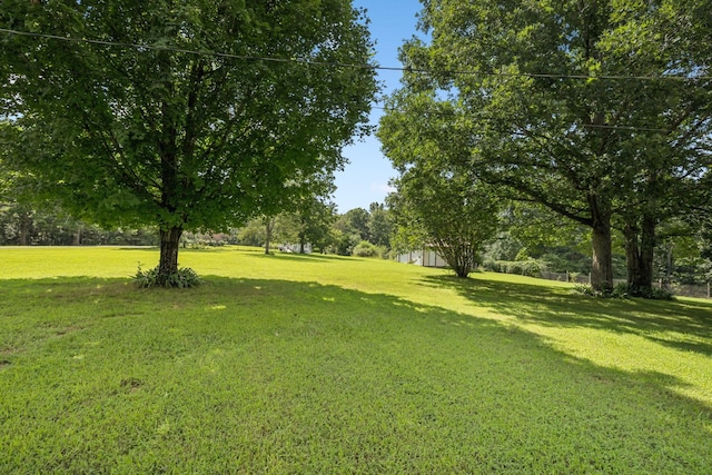 114 Cherry Point Rd, Hohenwald, TN 38462 - photo 45