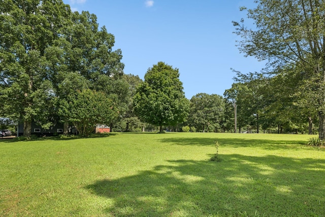114 Cherry Point Rd, Hohenwald, TN 38462 - photo 48