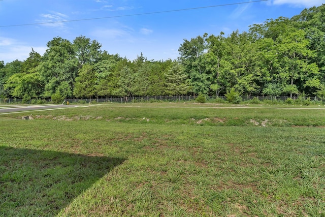 6019 Hunters Village Dr, Lebanon, TN 37087 - photo 33