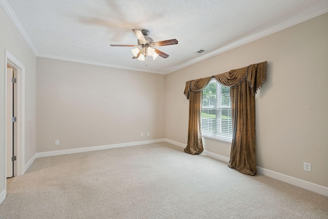 1900 Tinnin Rd Unit 11, Goodlettsville, TN 37072 - photo 24