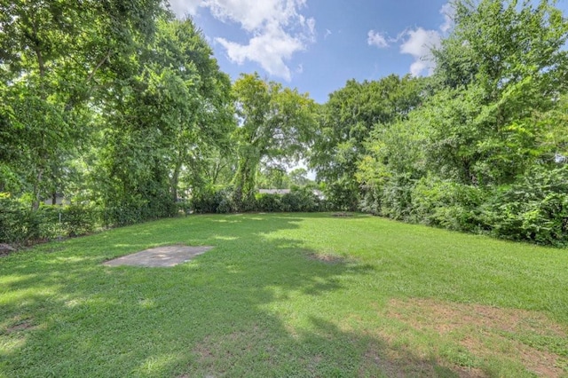 208 Gowan Dr, Shelbyville, TN 37160 - photo 25