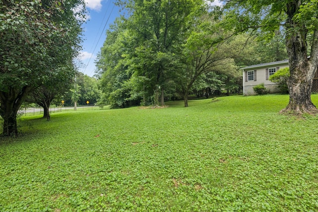 3063 Sweethome Rd, Chapmansboro, TN 37035 - photo 41