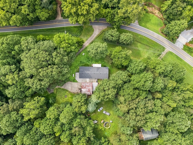 3063 Sweethome Rd, Chapmansboro, TN 37035 - photo 46
