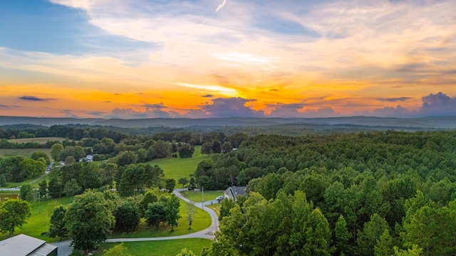 1686 Nolan Trl, Sale Creek, TN 37373 - photo 60
