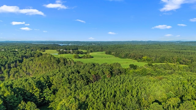 1686 Nolan Trl, Sale Creek, TN 37373 - photo 58