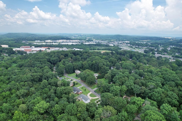 3703 Woodcrest Cir NW, Cleveland, TN 37312 - photo 41