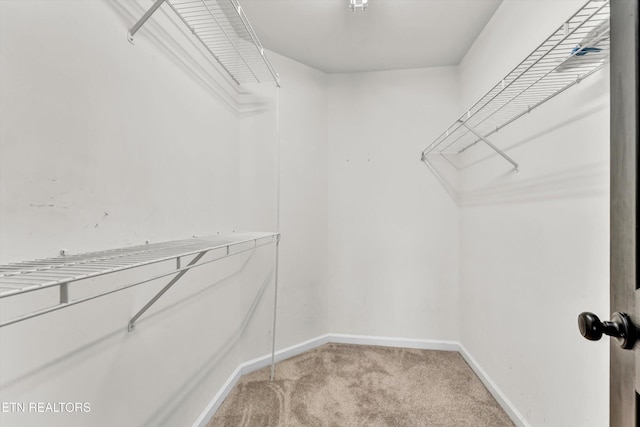 2421 Piney Grove Church Rd, Knoxville, TN 37921 - photo 22