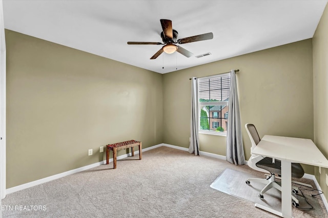 2421 Piney Grove Church Rd, Knoxville, TN 37921 - photo 27