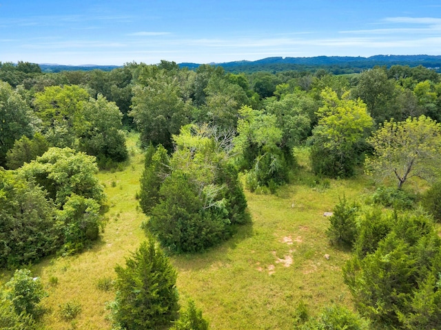 1666 Fayetteville Hwy, Belfast, TN 37019 - photo 16