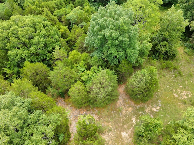 1666 Fayetteville Hwy, Belfast, TN 37019 - photo 8