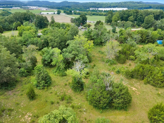 1666 Fayetteville Hwy, Belfast, TN 37019 - photo 15