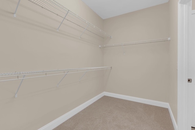 1332 Reynard Dr, Gallatin, TN 37066 - photo 20