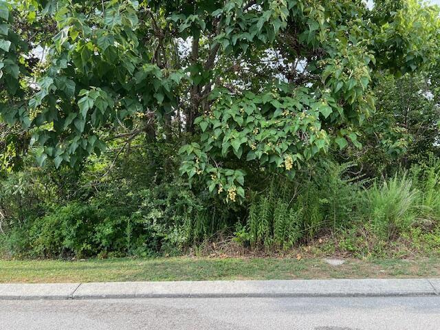 21182112 Short Leaf Ln, Soddy Daisy, TN 37379 - photo 2