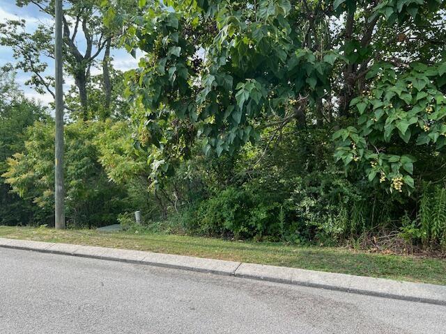 21182112 Short Leaf Ln, Soddy Daisy, TN 37379 - photo 1